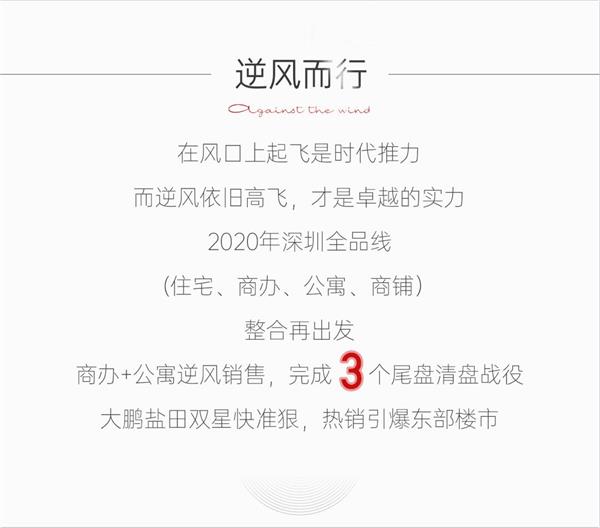 鸿运国际 - 2020深圳更鸿运国际丨无风亦破浪，，逆风仍遨游