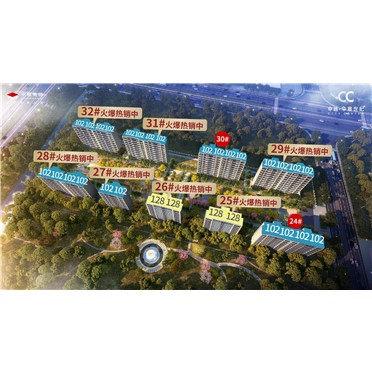 鸿运国际 - 南通·华宸世纪