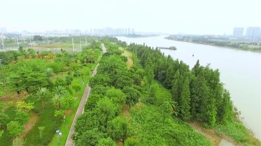 鸿运国际 - 你的朋侪圈，，，，绿了