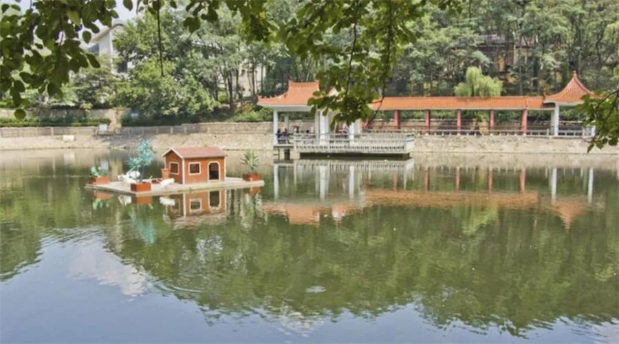 鸿运国际 - 你的朋侪圈，，，，绿了