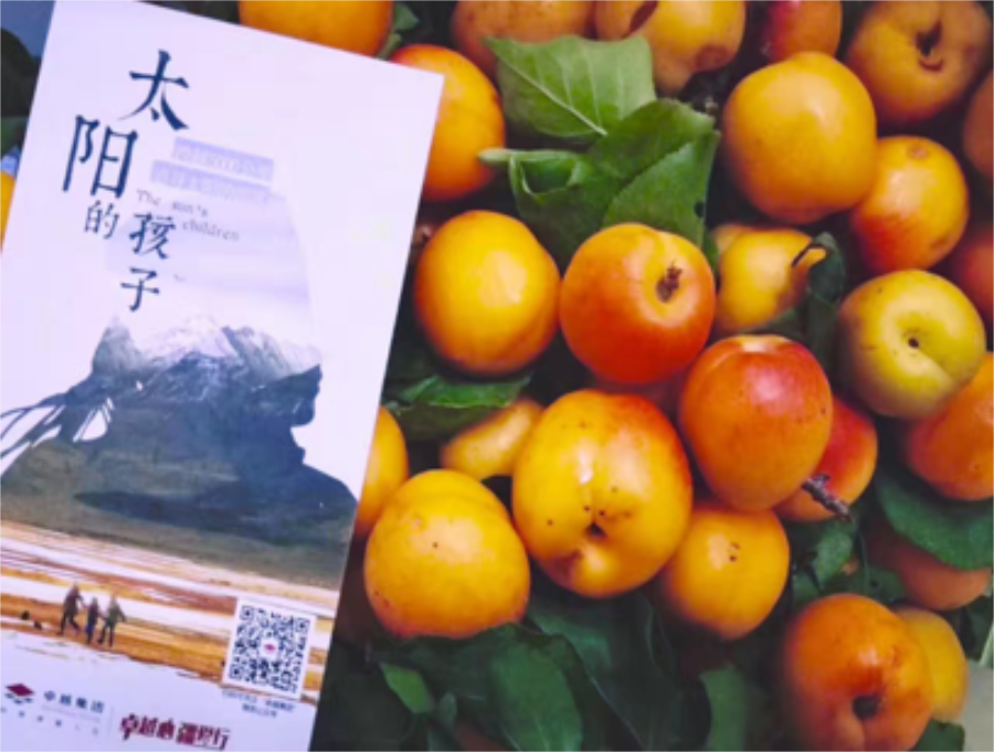 鸿运国际 - 鸿运国际心·疆爱行 | 公益援疆5载，，，，跨越5000公里的爱