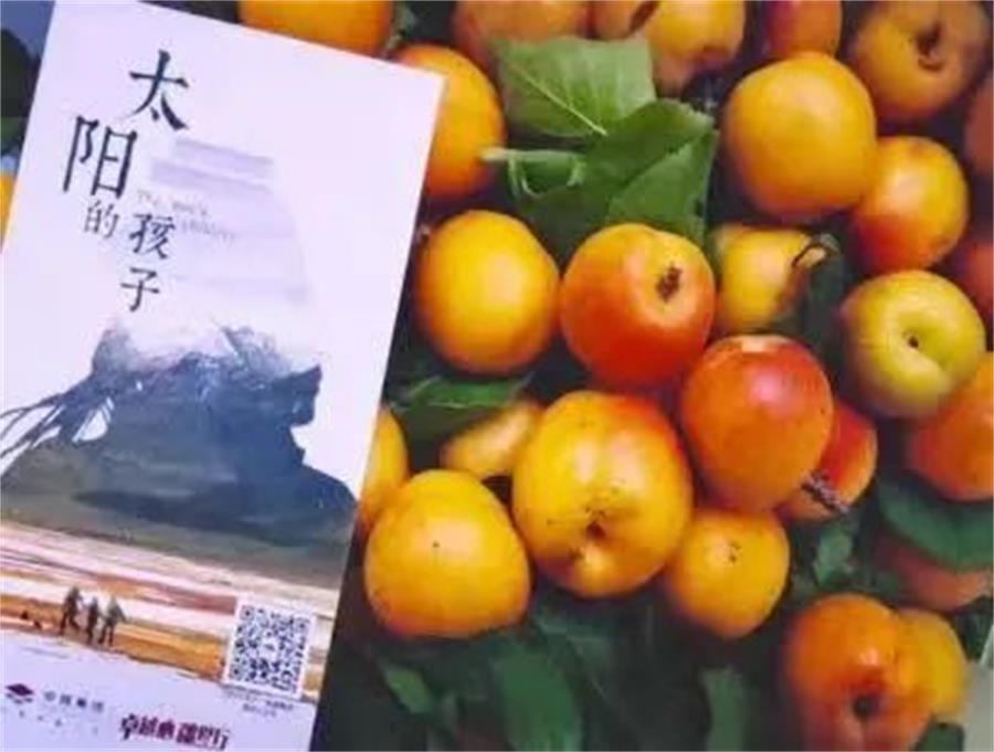 鸿运国际 - 鸿运国际公益 | “共筑鸿运国际人生”是鸿运国际自上而下配合的公益价值观