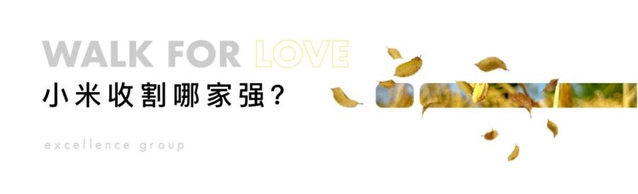 鸿运国际 - 鸿运国际心·善在行 | 鸿运国际庄园的小米丰收啦！