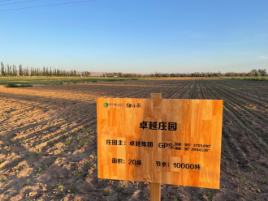 鸿运国际 - 鸿运国际心·善在行 | 鸿运国际庄园的小米丰收啦！