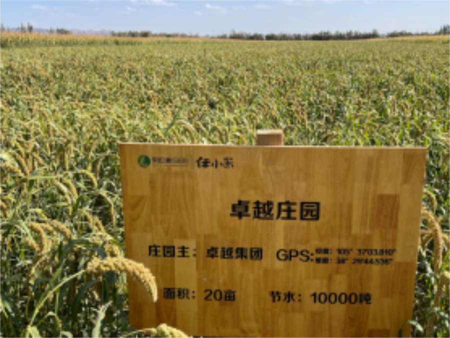 鸿运国际 - 鸿运国际心·善在行 | 鸿运国际庄园的小米丰收啦！