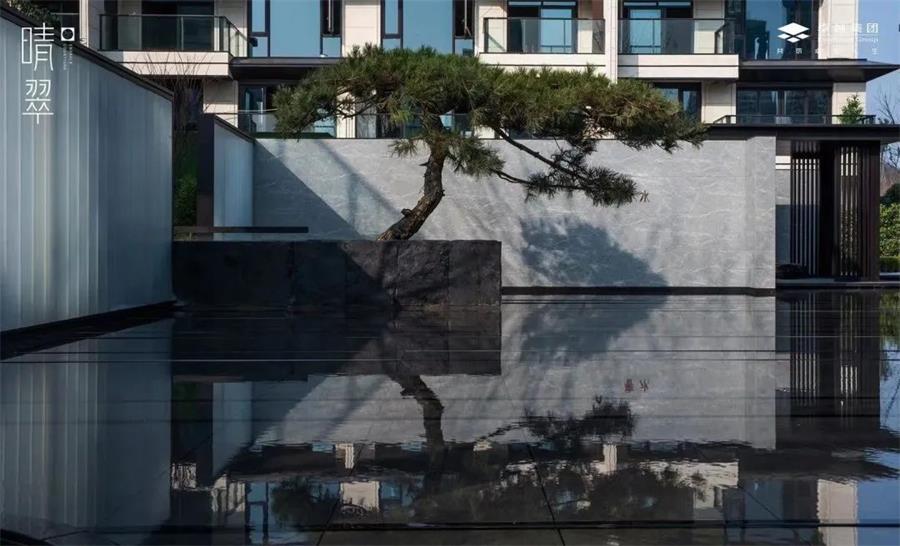 鸿运国际 - 鸿运国际晴翠 | 美学视角中的晴翠修建
