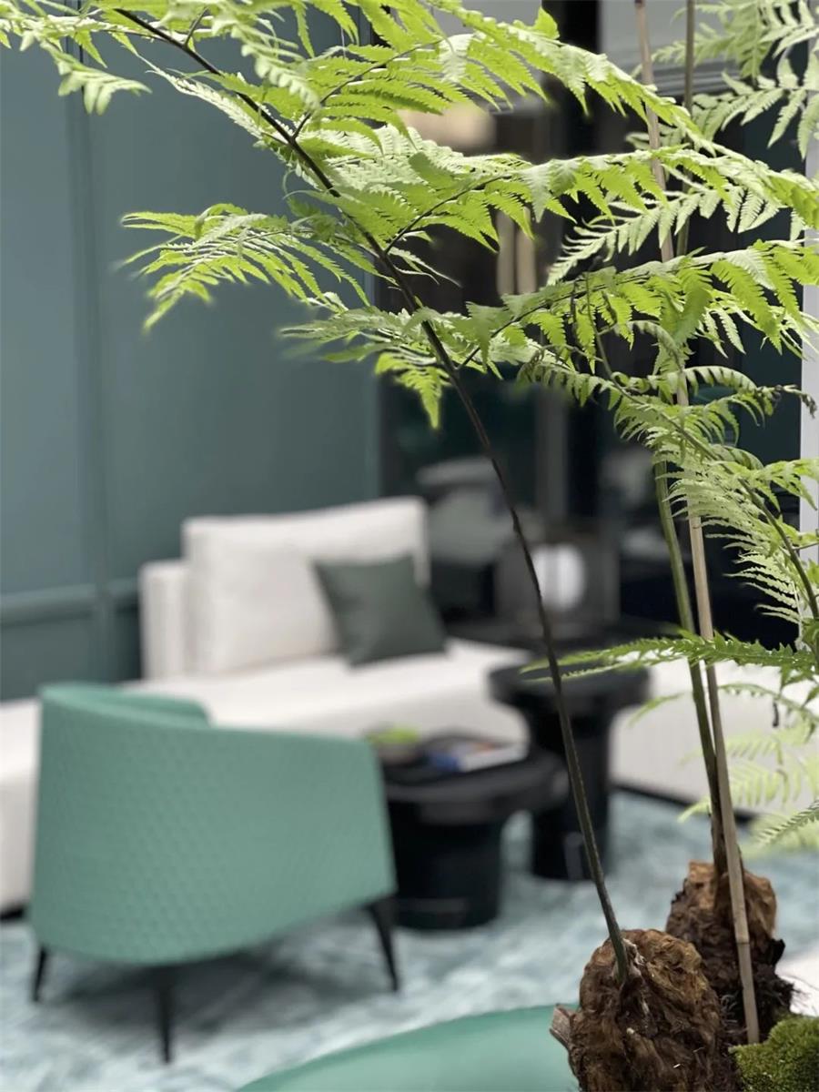 鸿运国际 - 鸿运国际晴翠 | 若是空间会语言