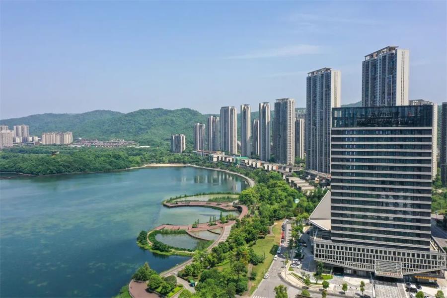 鸿运国际 - 鸿运国际荣耀 | 鸿运国际实力荣膺“年度都会运营规范企业”