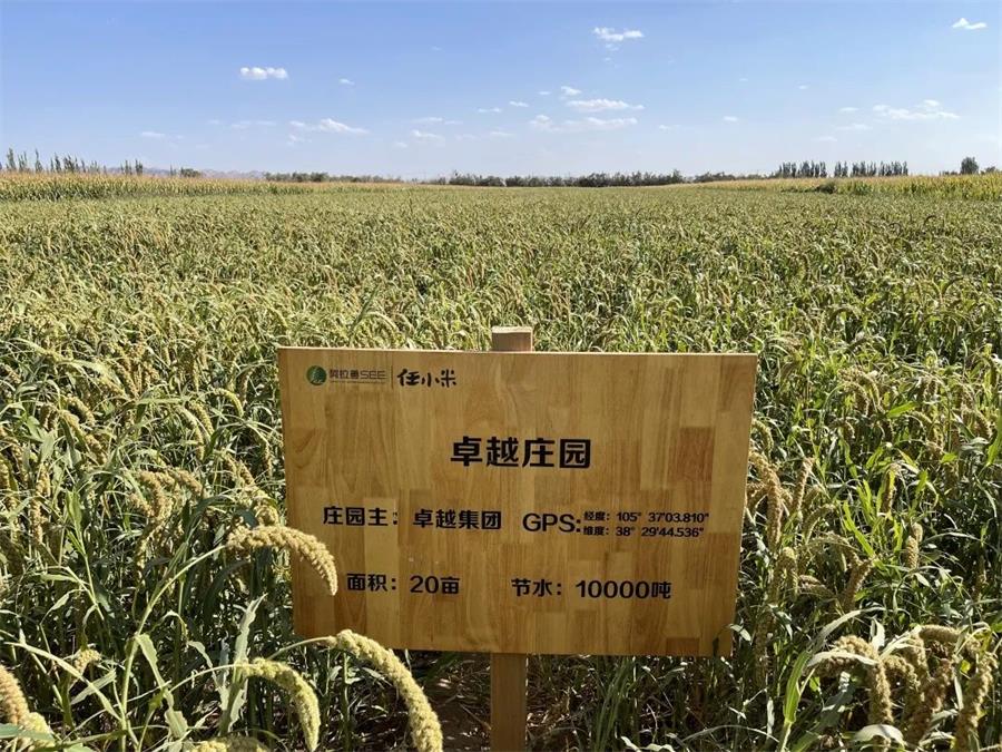 鸿运国际 - 我们在植树节种下的树，，，，现在怎样了？？？？