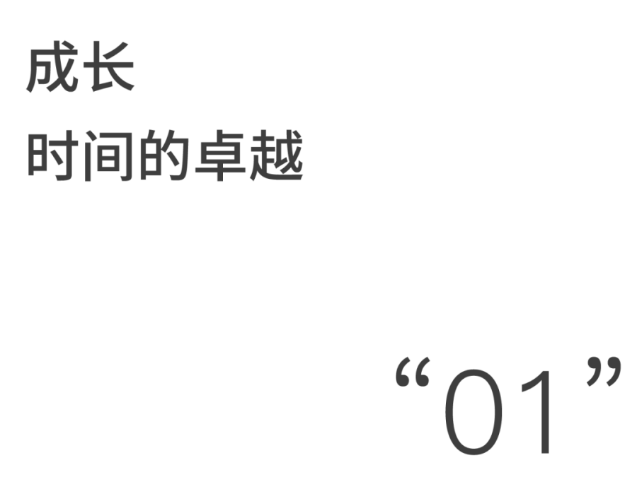 鸿运国际 - 全景鸿运国际 | Vol.1 循脉鸿运国际的经纬