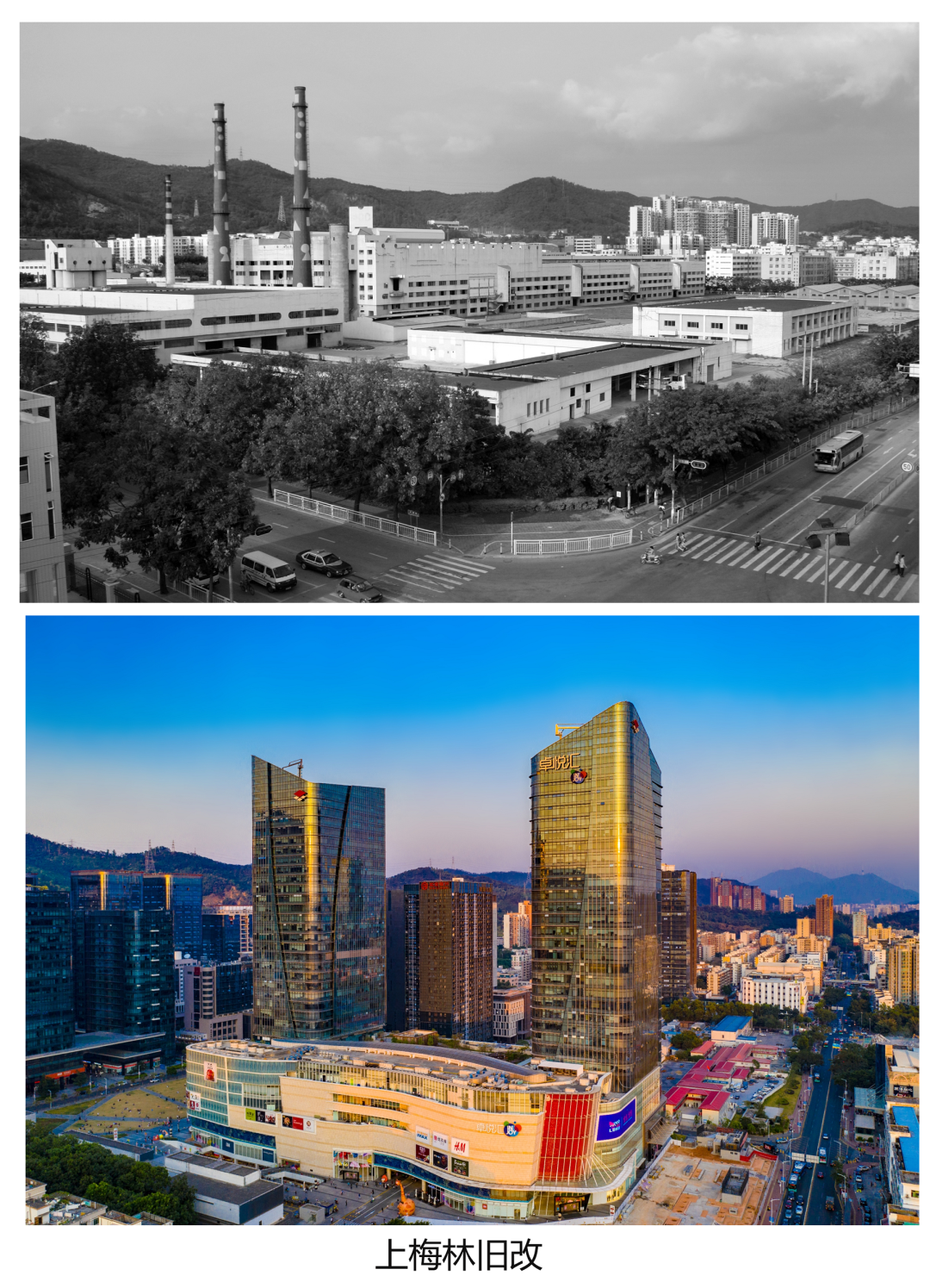 鸿运国际 - 鸿运国际荣耀 | 鸿运国际荣获乐居财经年度论坛两项大奖