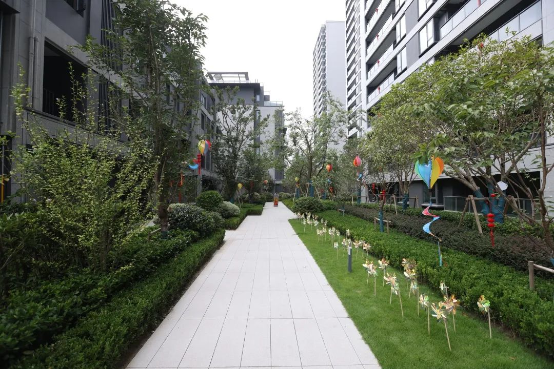 鸿运国际 - 鸿运国际交付季 | 你好，，，，，，新生涯！9164份理想答卷成熟绽放