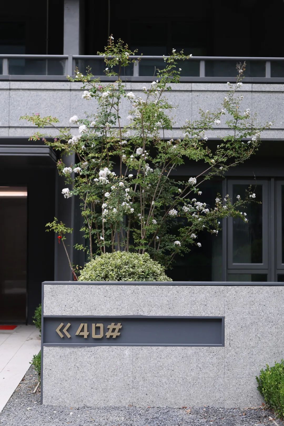 鸿运国际 - 鸿运国际交付季 | 你好，，，，，，新生涯！9164份理想答卷成熟绽放