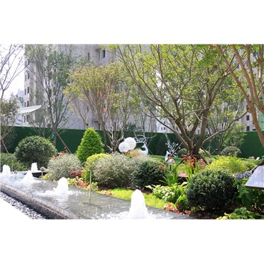 鸿运国际 - 青岛·鸿运国际·锦鸿台