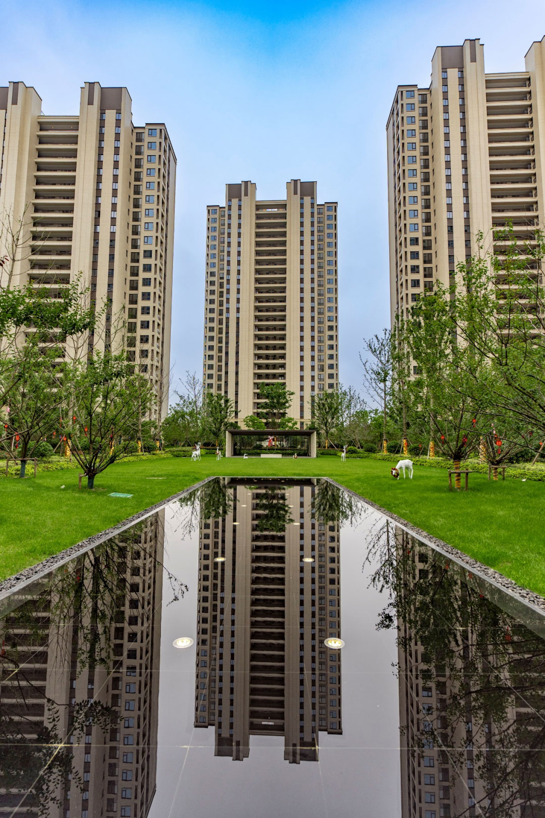 鸿运国际 - 优质交付 稳健谋划 | 鸿运国际荣获两项行业殊荣