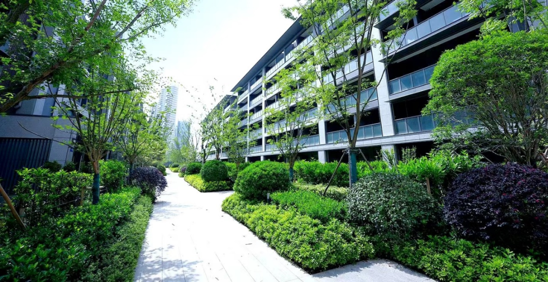 鸿运国际 - 年度交付 | 41000+份品质生涯答卷，，鉴证鸿运国际交付力