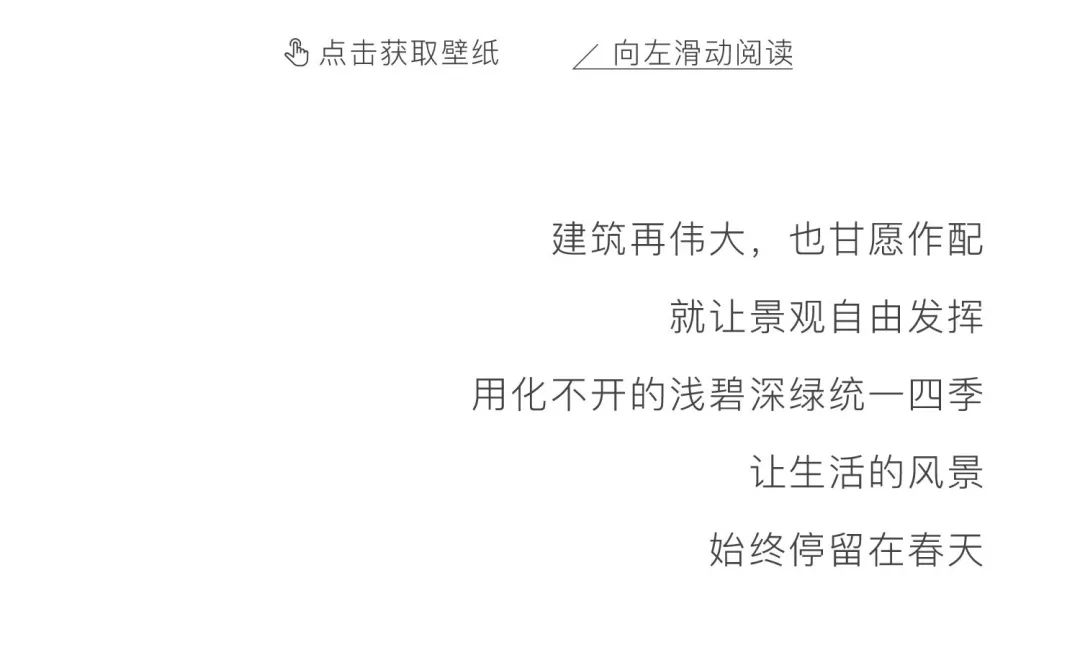 鸿运国际 - 壁纸上新｜春光馥郁，，，，，，恰是人世四月天