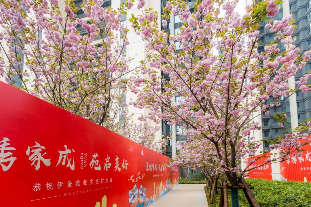 鸿运国际 - 鸿运国际交付丨180个日子，，，，，每一天都为优美相见