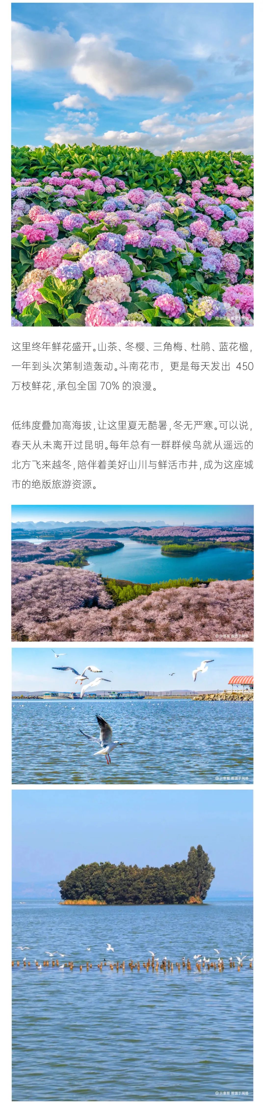 鸿运国际 - 都会指南妄想丨来南方 换挡多元人生