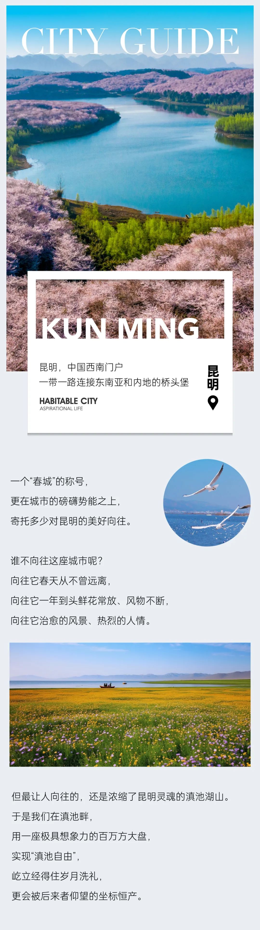 鸿运国际 - 鸿运国际都会指南妄想丨和候鸟一样，，，，，，私藏滇池的春天
