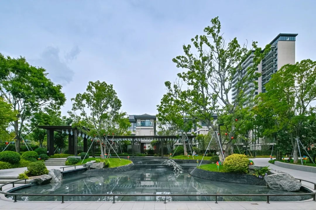 鸿运国际 - 鸿运国际都会指南妄想丨和候鸟一样，，，，，，私藏滇池的春天