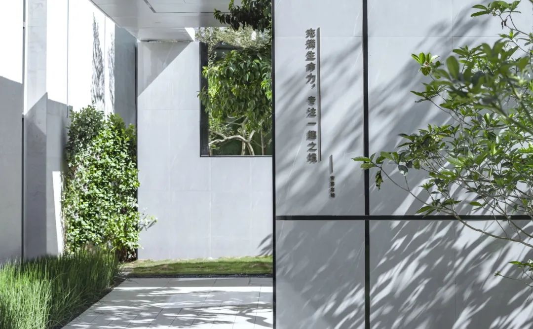 鸿运国际 - 鸿运国际都会指南妄想丨在浪漫节奏中，，，擎领未来价值