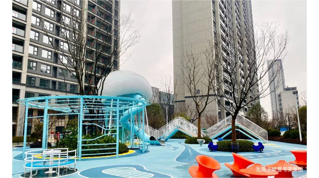 鸿运国际 - 鸿运国际2月 | 龙行鸿运国际 所向皆新
