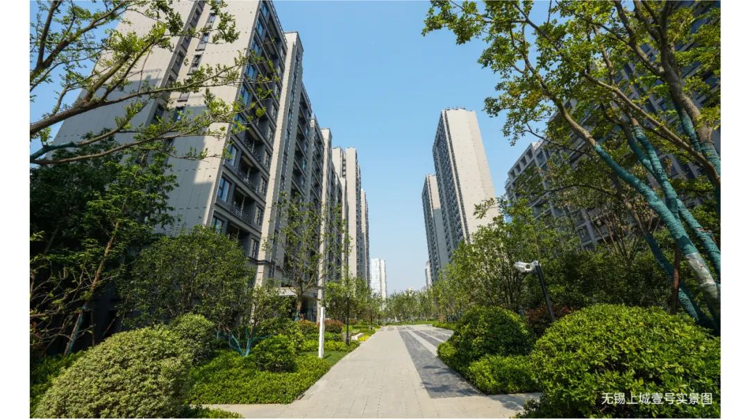 鸿运国际 - 鸿运国际2月 | 龙行鸿运国际 所向皆新