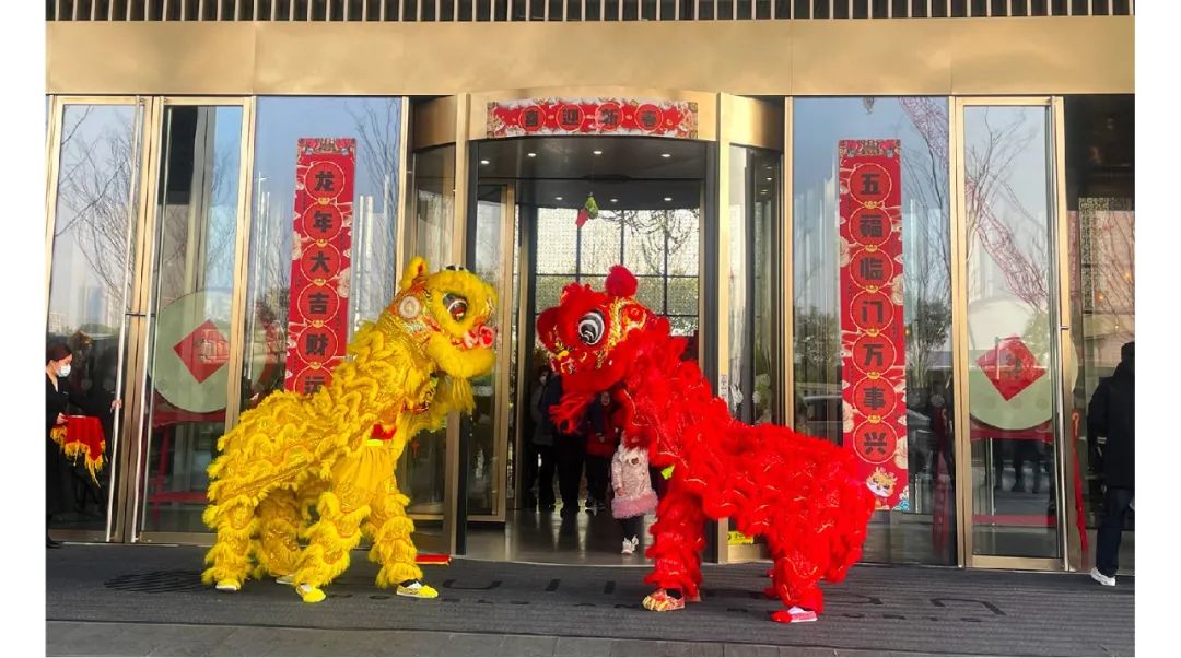 鸿运国际 - 鸿运国际2月 | 龙行鸿运国际 所向皆新