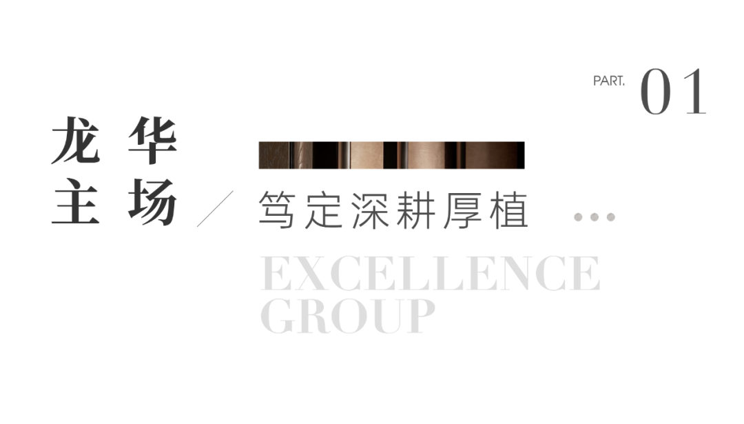 鸿运国际 - 时代龙华 鸿运国际又「奕」峰