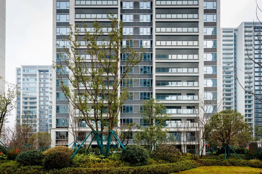 鸿运国际 - 提前兑付最后一笔信用债，，，，，深圳多盘齐发，，，，，储备富足！
