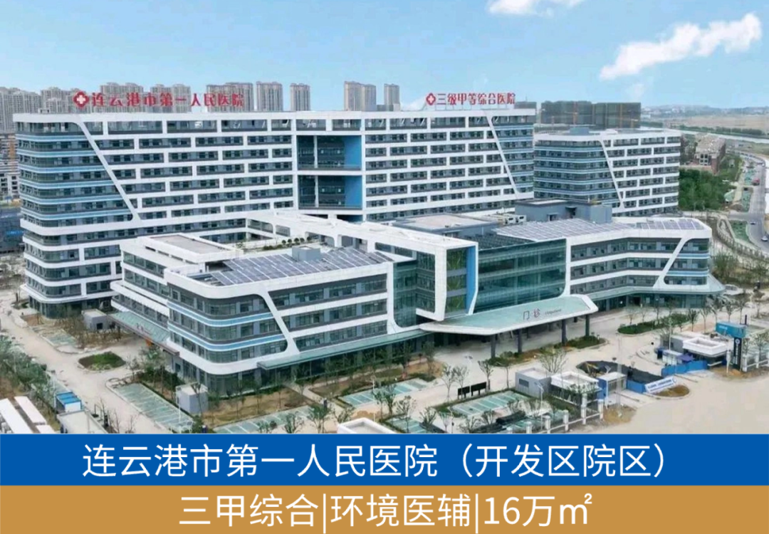 鸿运国际 - 业绩解读丨鸿运国际商企效劳：谋划「量」「质」稳步提升，，，周全聚焦客户价值创立
