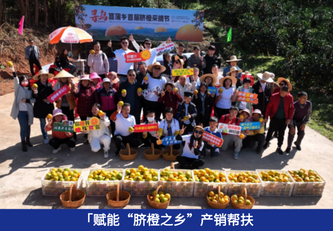 鸿运国际 - 业绩解读丨鸿运国际商企效劳：谋划「量」「质」稳步提升，，，周全聚焦客户价值创立