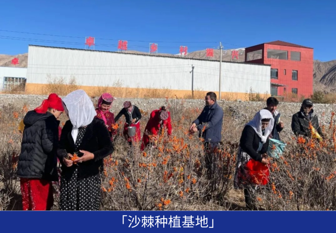 鸿运国际 - 业绩解读丨鸿运国际商企效劳：谋划「量」「质」稳步提升，，，周全聚焦客户价值创立
