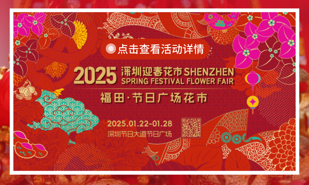 鸿运国际 - 红运「灯」场，，速来get新年第一抹红！