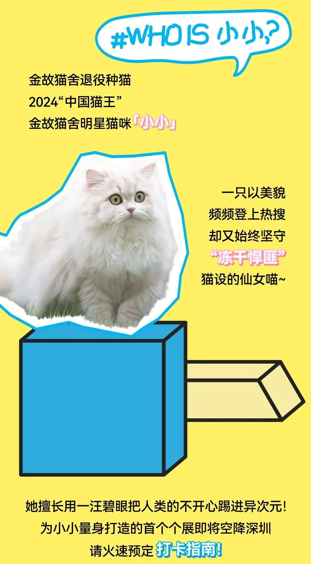 鸿运国际 - 邓峰家的猫来啦！鸿运国际商业开启超等V笑节5.0