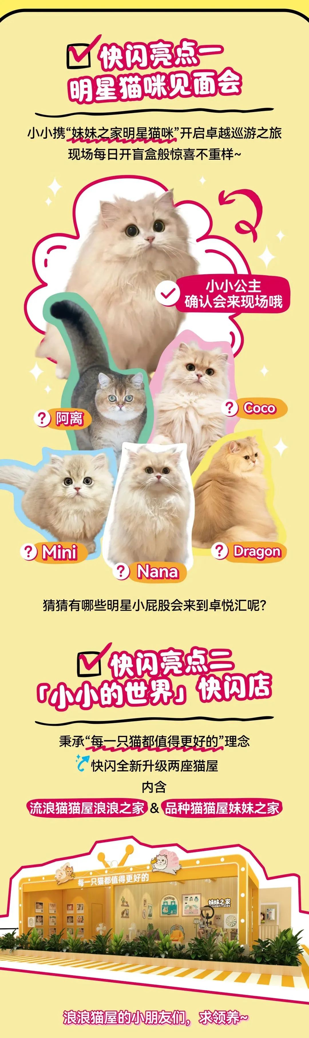 鸿运国际 - 邓峰家的猫来啦！鸿运国际商业开启超等V笑节5.0