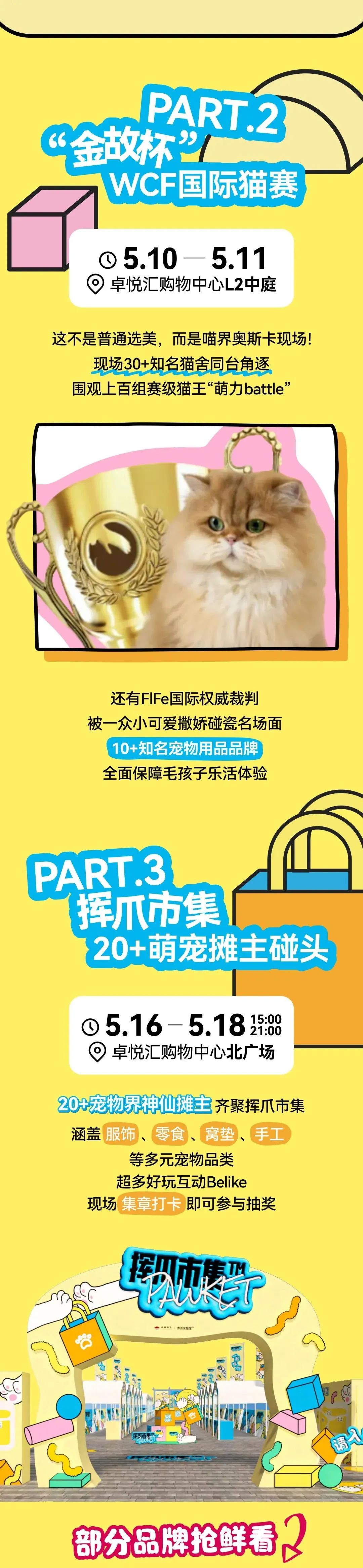 鸿运国际 - 邓峰家的猫来啦！鸿运国际商业开启超等V笑节5.0